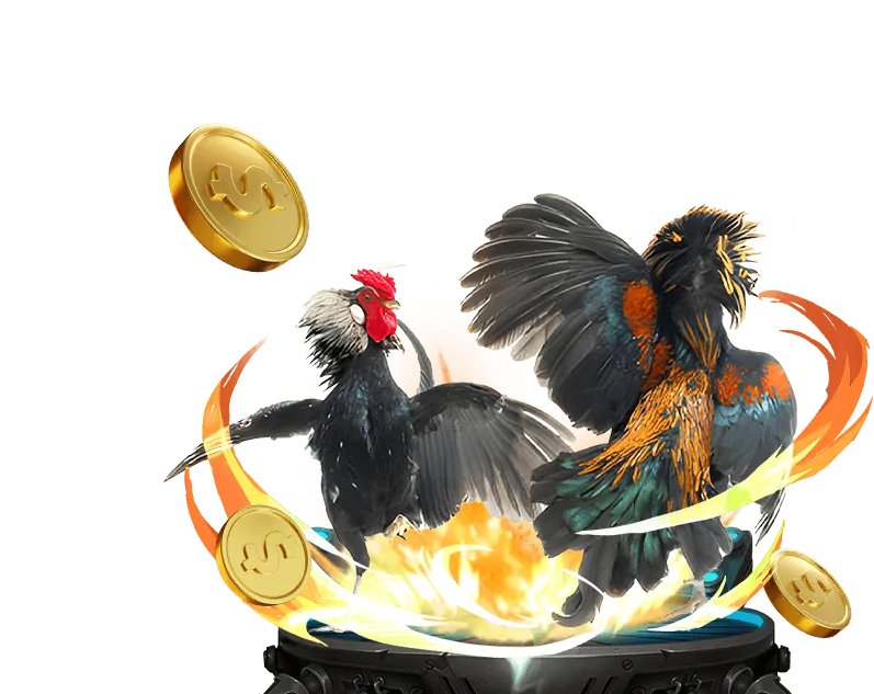 Công nghệ theo dõi và Cookie BJ88VN